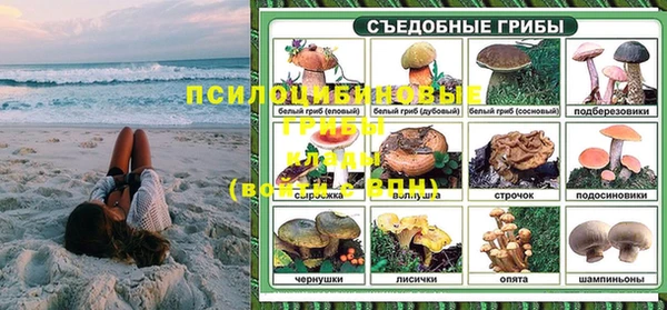 сатива Костерёво