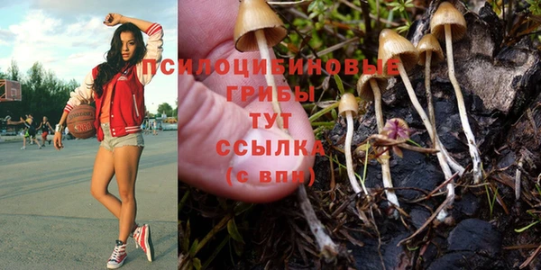 кристаллы Кодинск