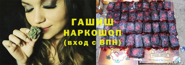 сатива Костерёво