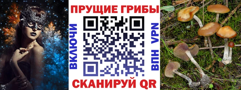 Галлюциногенные грибы Magic Shrooms  Короча 