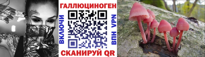Псилоцибиновые грибы Psilocybe Короча