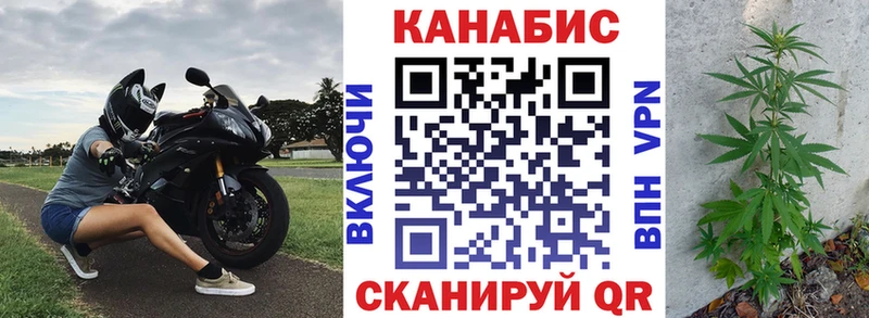 Марихуана планчик  Короча 